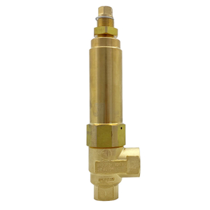 High Pressure Washer Safety Valve SVL50