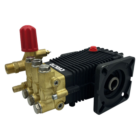 Auto Stop 1450PSI 3.43GPM 19MM Shaft High Pressure Washer Triplex Plunger Pump 