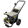 Auto Stop 1450PSI 3.96GPM 2.2KW Electric High Pressure Washer with AR (RC 14.16) - DL